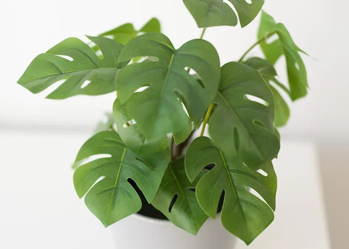 公寓 Cozy Nearby Flat Canteras