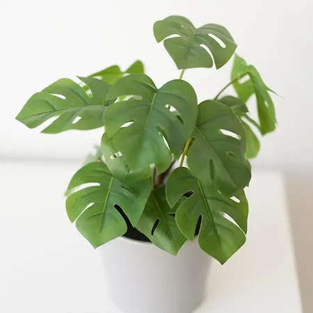 Apartment Cozy Nearby Flat Canteras