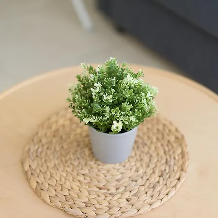 Cozy Nearby Flat Canteras *