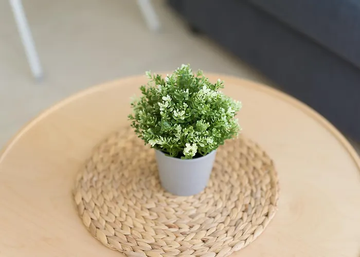 Cozy Nearby Flat Canteras *